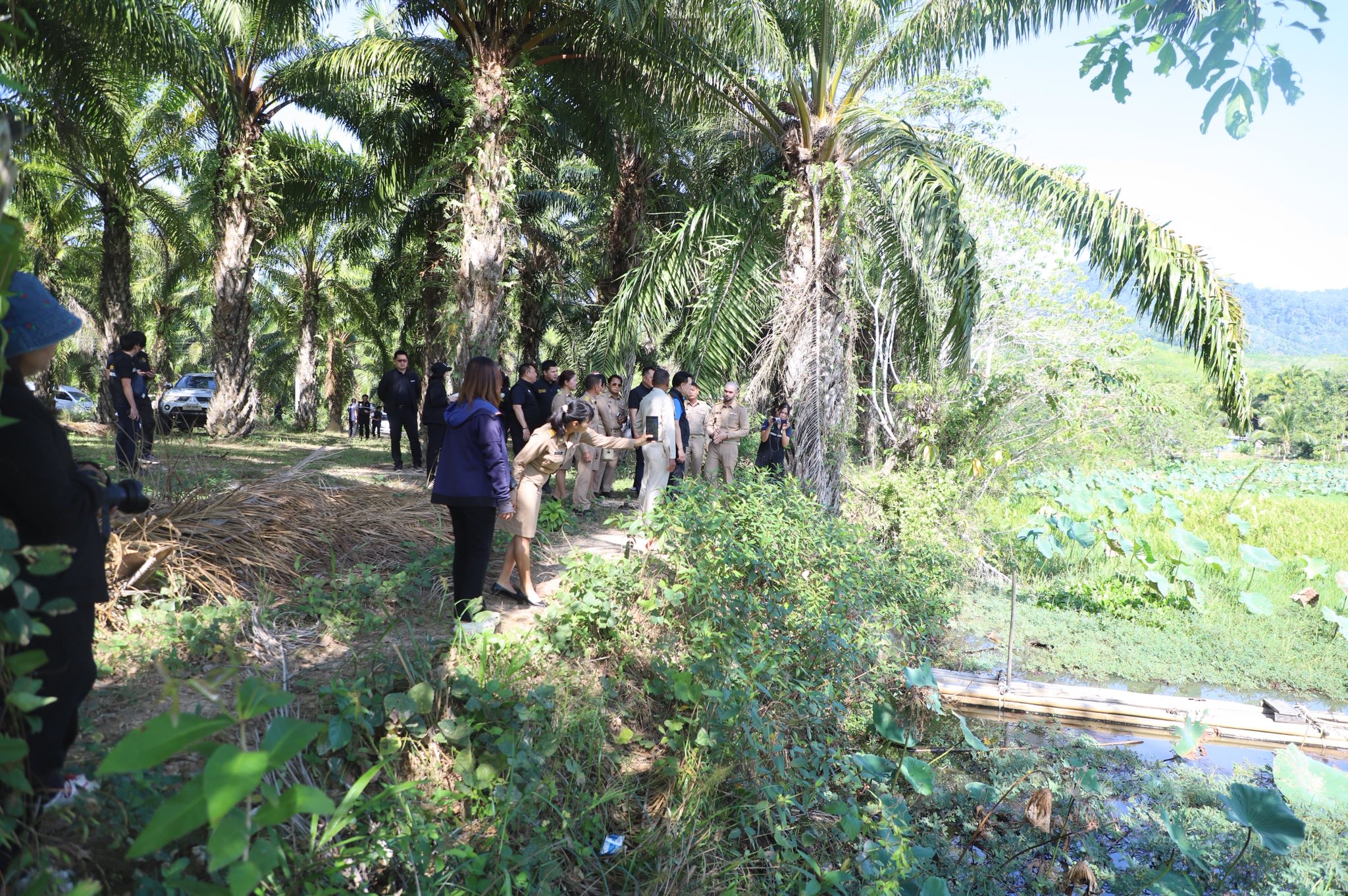 title - ข่าวดีชาวกระบี่ รมช.เกษตรฯ ลงพื้นที่ติดตามโปรเจกต์ยักษ์ ส.ป.ก. เร่งพัฒนาโครงสร้างพื้นฐานแปลงพื้นที่เป้าหมาย คทช. ในเขตปฏิรูปที่ดิน กว่า 4,300 ไร่ มุ่งสร้างอาชีพอย่างยั่งยืน